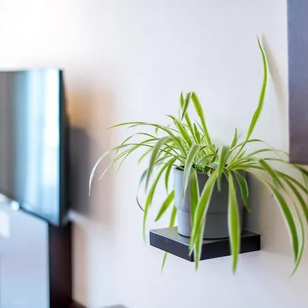 Stein - Schiller's Manufaktur Coblenza