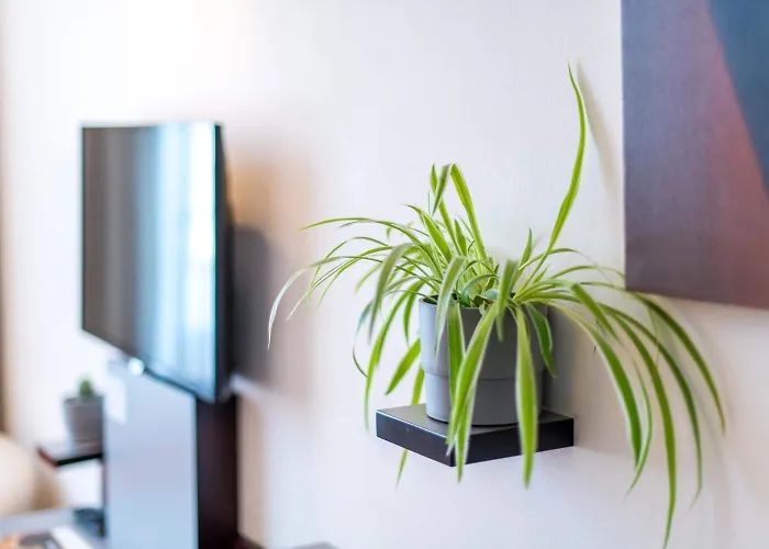 Stein - Schiller's Manufaktur 호텔 코블렌츠